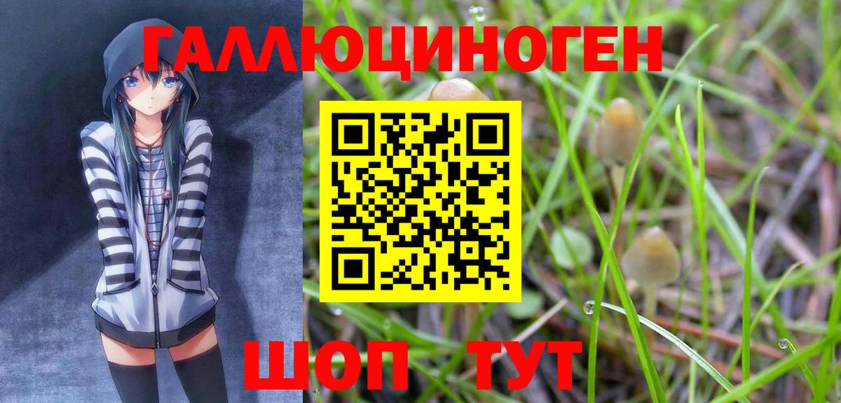 Галлюциногенные грибы мухоморы Чехов